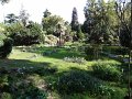 DSC01993