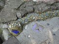 DSC02020