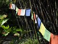 DSC02027