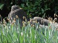 DSC02031