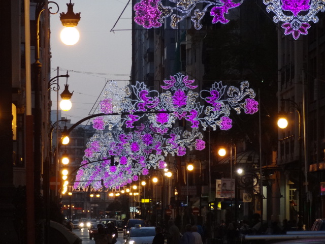 DSC01488.JPG