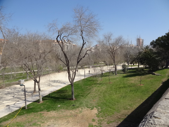 DSC01541.JPG