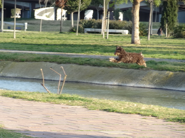 DSC01764.JPG