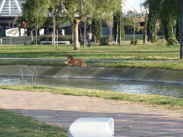 DSC01767.JPG