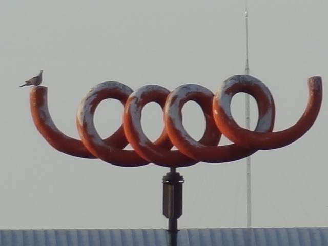 DSC01786.JPG
