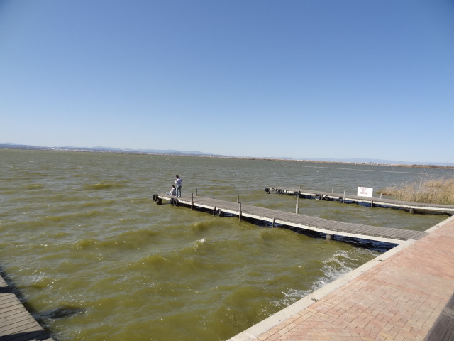 DSC01848.JPG - Albufera