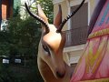 DSC01552