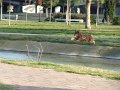 DSC01764