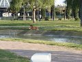 DSC01767