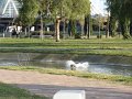 DSC01768