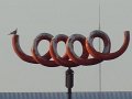 DSC01786