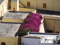 DSC01831