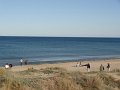 DSC01865