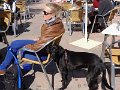 DSC06634