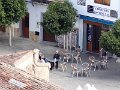 DSC06685