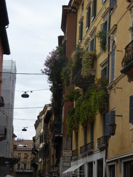 P1020436.JPG