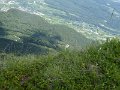 P1020508