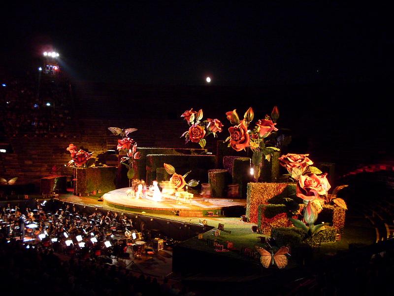 SDC11240.JPG