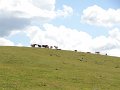 DSC07380