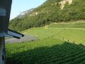 DSC07399