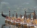 DSC07406