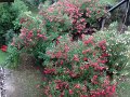 DSC02208