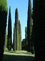 DSC02257