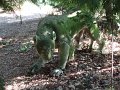 DSC02262