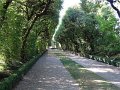 DSC02263