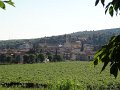 DSC02265